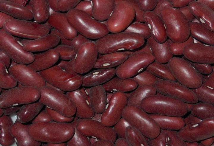 gallery/dark red kidney beans