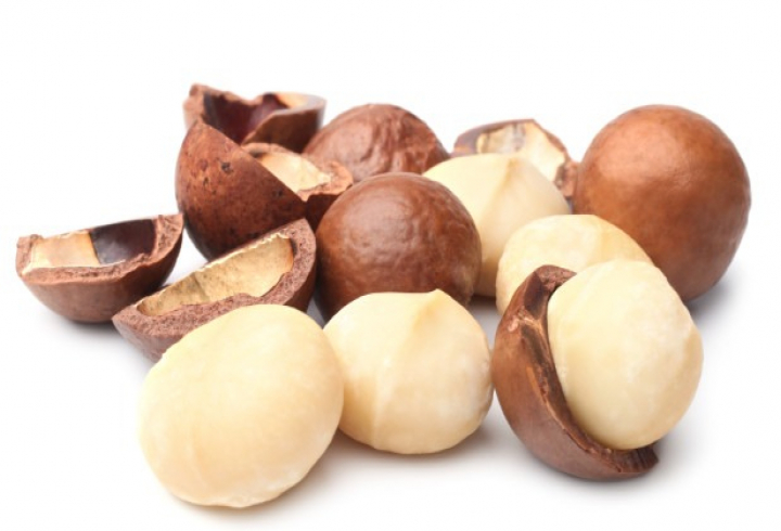 gallery/macadamia nuts